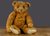 Lot 249 - A rare early Steiff cinnamon mohair teddy bear, circa 1908 
